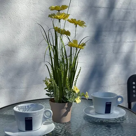 Daire Briks And Dreams *