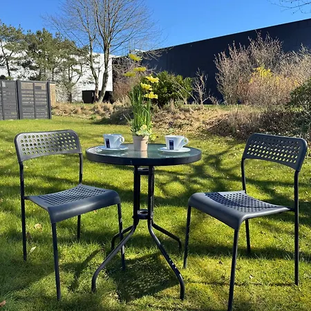 Briks And Dreams بيلوند